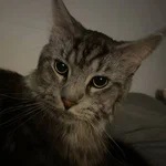Евгений Брянский